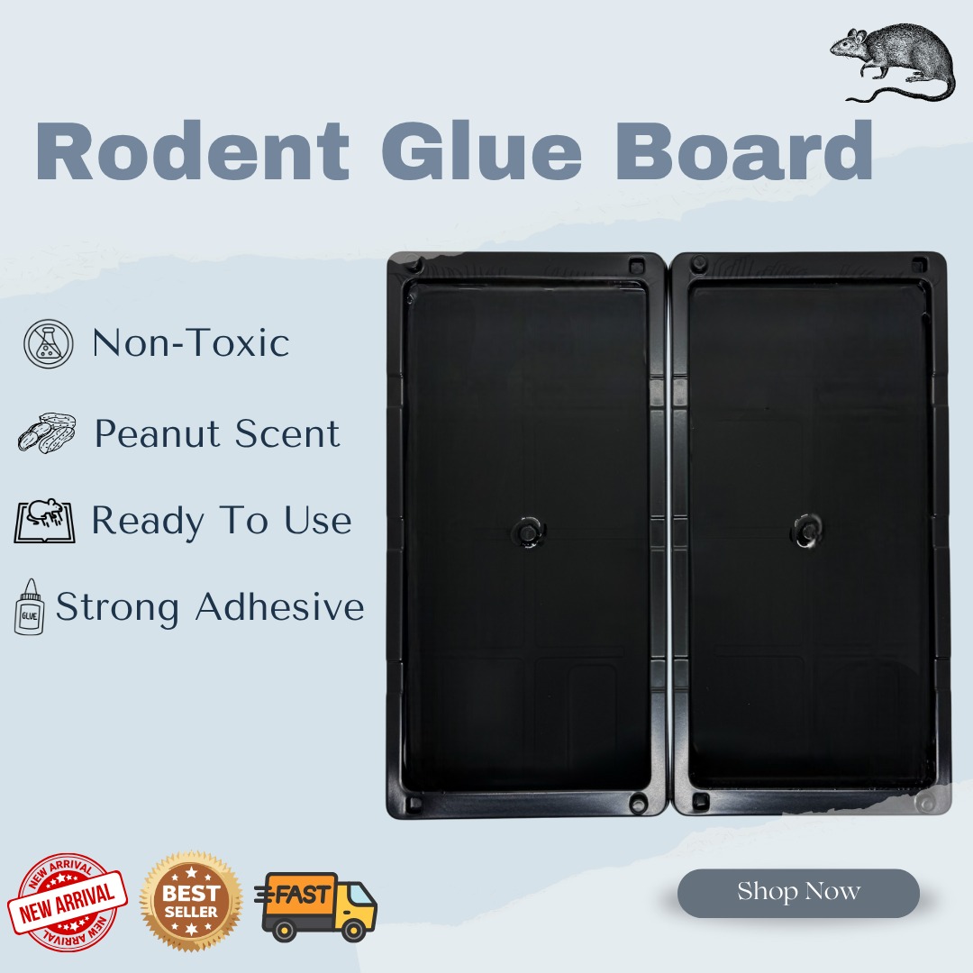 [SG Ready Stock] Rodent Glue Board (2pcs) | Durable Plastic Rat Trap ...