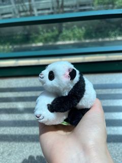 （分類：）位於 。 由 blackspottedfiercehungry 提交（商品編號 1385303181，圖片 1）。簡介： 。