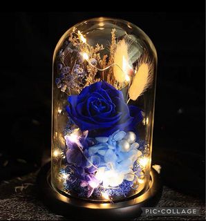 (Category: ) located in . Submitted by lovely_indulgence (Listing ID 1385368517, Image 1). Description: .