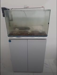 (Kategori: ) berada di . Dikirim oleh zzein (ID iklan 1385603461, Gambar 1). Deskripsi: .