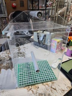（分類：）位於 。 由 chanyan83 提交（商品編號 1385529422，圖片 1）。簡介： 。