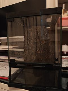（分類：）位於 。 由 hidychan 提交（商品編號 1385559016，圖片 1）。簡介： 。