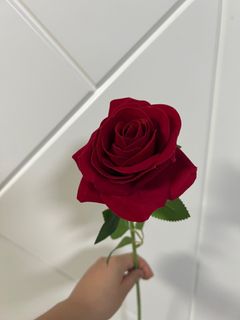 （分類：）位於 。 由 vindysweethouse 提交（商品編號 1385561935，圖片 1）。簡介： 。