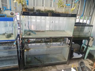 (Category: ) located in . Submitted by nuoph (Listing ID 1385468302, Image 1). Description: .