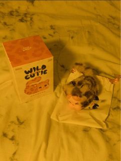 (Category: ) located in . Submitted by bbrghtvc (Listing ID 1385530121, Image 1). Description: .