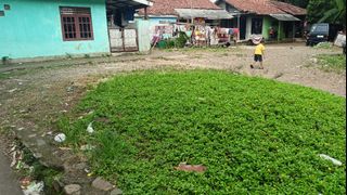 (Kategori: ) berada di . Dikirim oleh augustadev32737 (ID iklan 1385502323, Gambar 1). Deskripsi: .