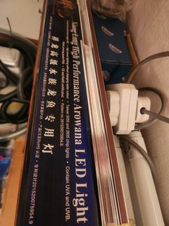 (Category: ) located in . Submitted by calmcapricorn (Listing ID 1385570930, Image 1). Description: .