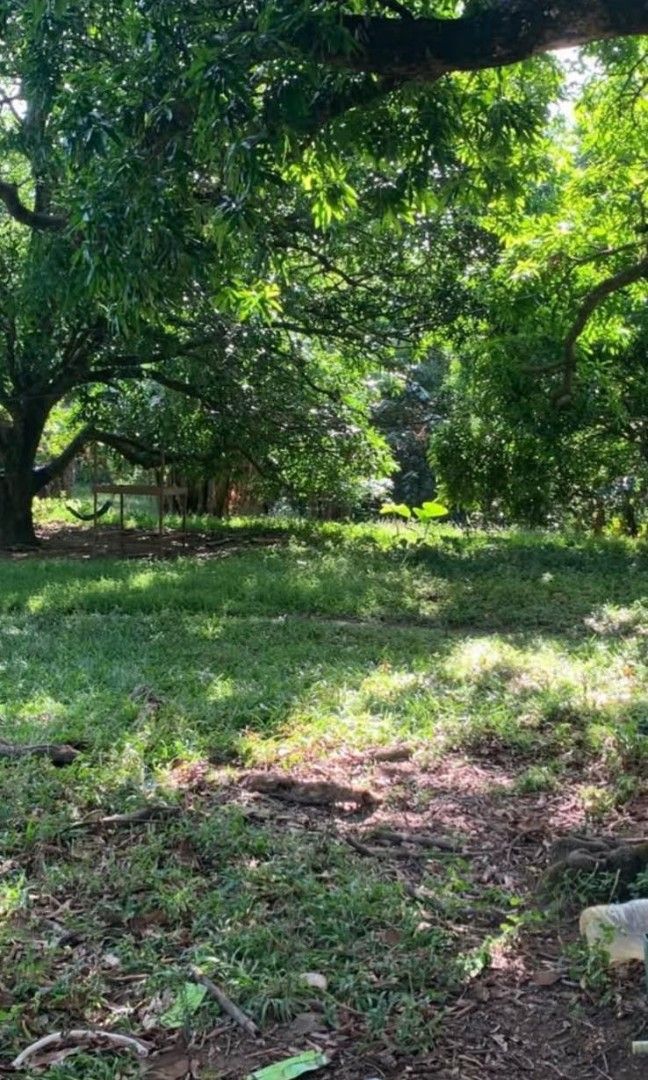 Lot for development to commercial/residential (Category: Lot) located in Makati City. Submitted by teresageronimo (Listing ID 1385451608, Image 1). Description: along the main provincial road of Malasique Pangasinan wide frontage excellent for commercial/residential development..