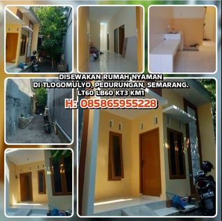 (Kategori: ) berada di . Dikirim oleh uzumakinaruto44814 (ID iklan 1385614519, Gambar 1). Deskripsi: .
