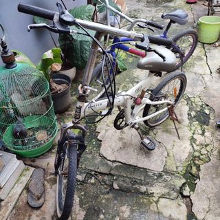 (Kategori: ) berada di . Dikirim oleh proposalni94203 (ID iklan 1385581571, Gambar 1). Deskripsi: .