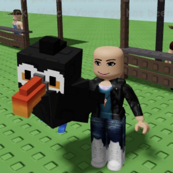 Toucan | Grow A Garden | Roblox, Video Gaming, Gaming Accessories, In ...