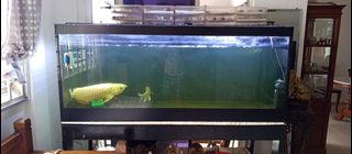 (Category: ) located in . Submitted by rocket84 (Listing ID 1385714187, Image 1). Description: .