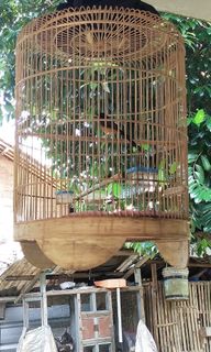 (Kategori: ) berada di . Dikirim oleh incjuja446332 (ID iklan 1385717199, Gambar 1). Deskripsi: .