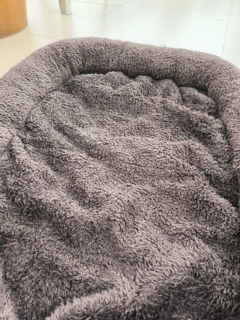 Dog bed (Category: Pet Food) located in Paranaque City. Submitted by plbycath (Listing ID 1385641707, Image 2). Description: needs washing bought for php 900.