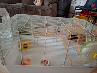 (Category: ) located in . Submitted by abdestand (Listing ID 1385679922, Image 1). Description: .
