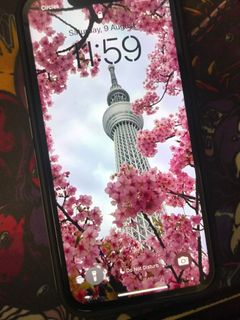 (Category: ) located in . Submitted by crazycatlady01 (Listing ID 1385648807, Image 1). Description: .