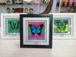(Kategori: ) berada di . Dikirim oleh arts234 (ID iklan 1385619242, Gambar 1). Deskripsi: .