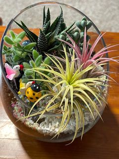 (Category: ) located in . Submitted by purplegrape88 (Listing ID 1385724926, Image 1). Description: .