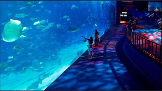 (Category: ) located in . Submitted by wimcozoo (Listing ID 1385671124, Image 1). Description: .