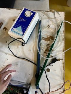 由 bee7250 (刊登 ID 1385795321，圖片 1) 提交，位於 的 (類別：)，說明：。