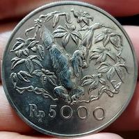 (Kategori: ) berada di . Dikirim oleh hadescarte14921 (ID iklan 1385703466, Gambar 1). Deskripsi: .