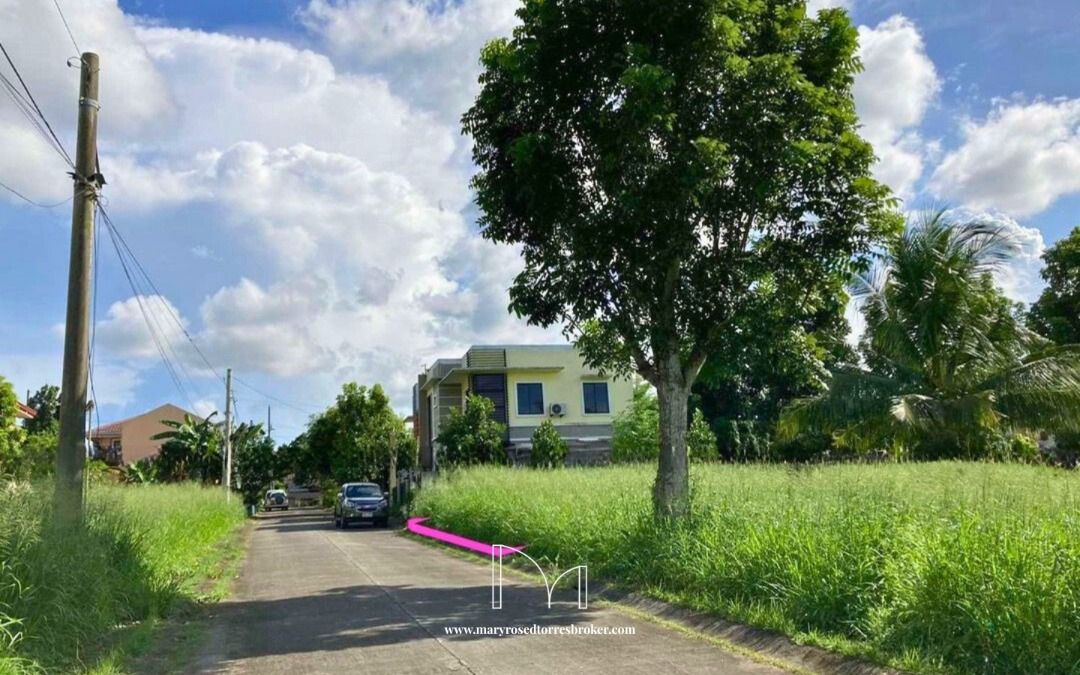 Residential Lot for Sale in Metrogate, Dasmariñas Estates (Category: Lot) located in Las Pinas. Submitted by maryrosetorresbroker (Listing ID 1294190060, Image 3). Description: Residential Lot for Sale in Metrogate, Dasmariñas Estates. A premier, gated and guarded subdivision known for its wide streets, lush greenery, and peaceful, family-oriented environment. Location: Dasmarinas, Cavite 150 sqm. lot Facing East Rectangular lot Located on the hi