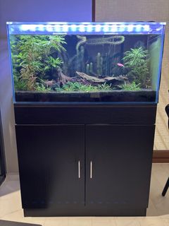 (Category: ) located in . Submitted by sjsjsj9 (Listing ID 1390129725, Image 1). Description: .