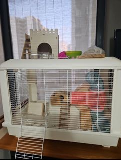 (Category: ) located in . Submitted by cristinoh (Listing ID 1390135506, Image 1). Description: .