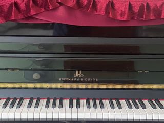 （分類：）位於 。 由 kenchoi1109 提交（商品編號 1390177119，圖片 1）。簡介： 。