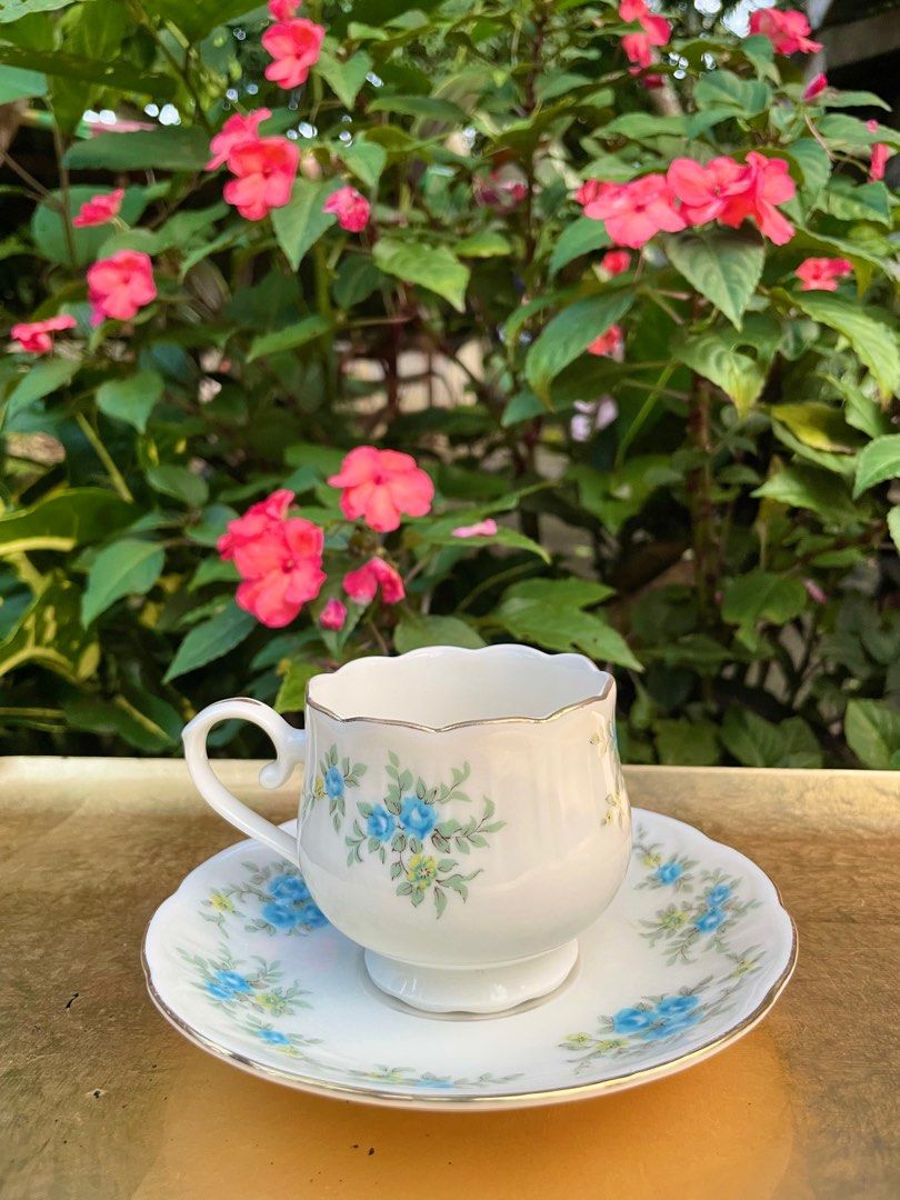 Hoya Japan Cup and Saucer (Category: Coffee & Tea Tableware) located in Malaybalay. Submitted by timelessheirlooms (Listing ID 1390132745, Image 1). Description: Cup and saucer set in very good condition.