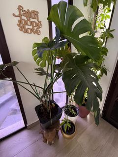 (Category: ) located in . Submitted by house_of_chen_sgp (Listing ID 1390127052, Image 1). Description: .