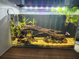 (Category: ) located in . Submitted by dinoteoh (Listing ID 1390181786, Image 1). Description: .