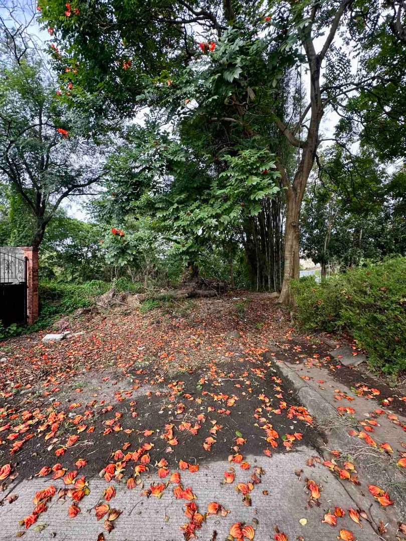 (Category: ) located in . Submitted by thepropertysalesman (Listing ID 1390101973, Image 1). Description: .