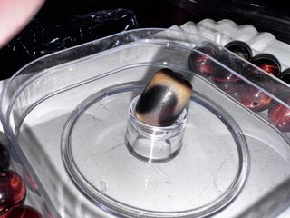 (Category: ) located in . Submitted by gnt123a (Listing ID 1390043746, Image 1). Description: .
