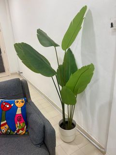 (Category: ) located in . Submitted by swarana (Listing ID 1391771070, Image 1). Description: .