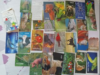 （分類：）位於 。 由 aitchsee 提交（商品編號 1391903650，圖片 1）。簡介： 。