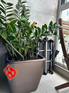 （分類：）位於 。 由 emmm1 提交（商品編號 1391786790，圖片 1）。簡介： 。