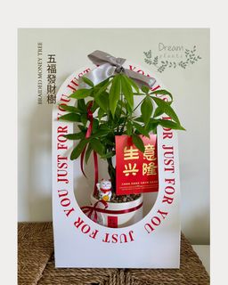 （分類：）位於 。 由 dreamplants 提交（商品編號 1391968475，圖片 1）。簡介： 。