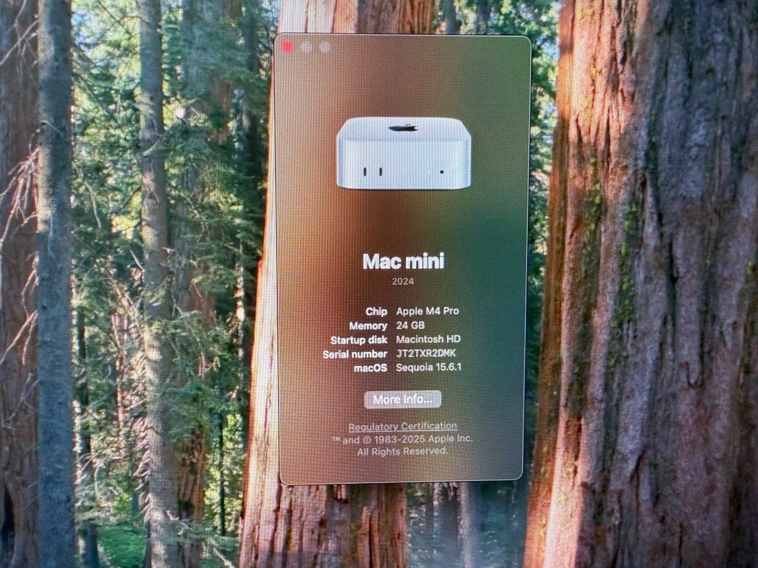 Apple Mac Mini M4 Pro (2024) 24GB RAM 512GB Storage, Computers & Tech