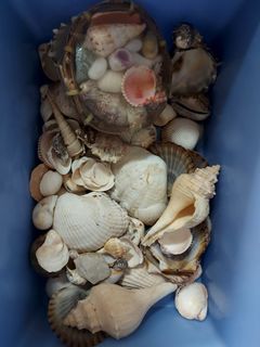 （分類：）位於 。 由 sil_yk 提交（商品編號 1391979395，圖片 1）。簡介： 。