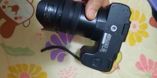 （分類：）位於 。 由 oddrabbit.256dd2 提交（商品編號 1391879590，圖片 1）。簡介： 。