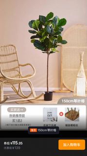 （分類：）位於 。 由 r8168 提交（商品編號 1392214810，圖片 1）。簡介： 。