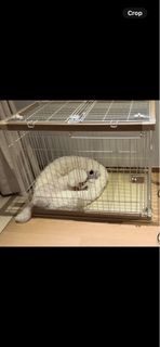 （分類：）位於 。 由 11143 提交（商品編號 1392136472，圖片 1）。簡介： 。