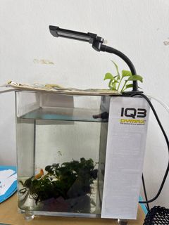 (Category: ) located in . Submitted by maxchua1 (Listing ID 1392139216, Image 1). Description: .