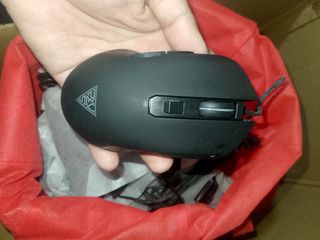 (Category: ) located in . Submitted by rbspc (Listing ID 1392173041, Image 1). Description: .