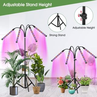 （分類：）位於 。 由 obeyforyou 提交（商品編號 1392215449，圖片 1）。簡介： 。