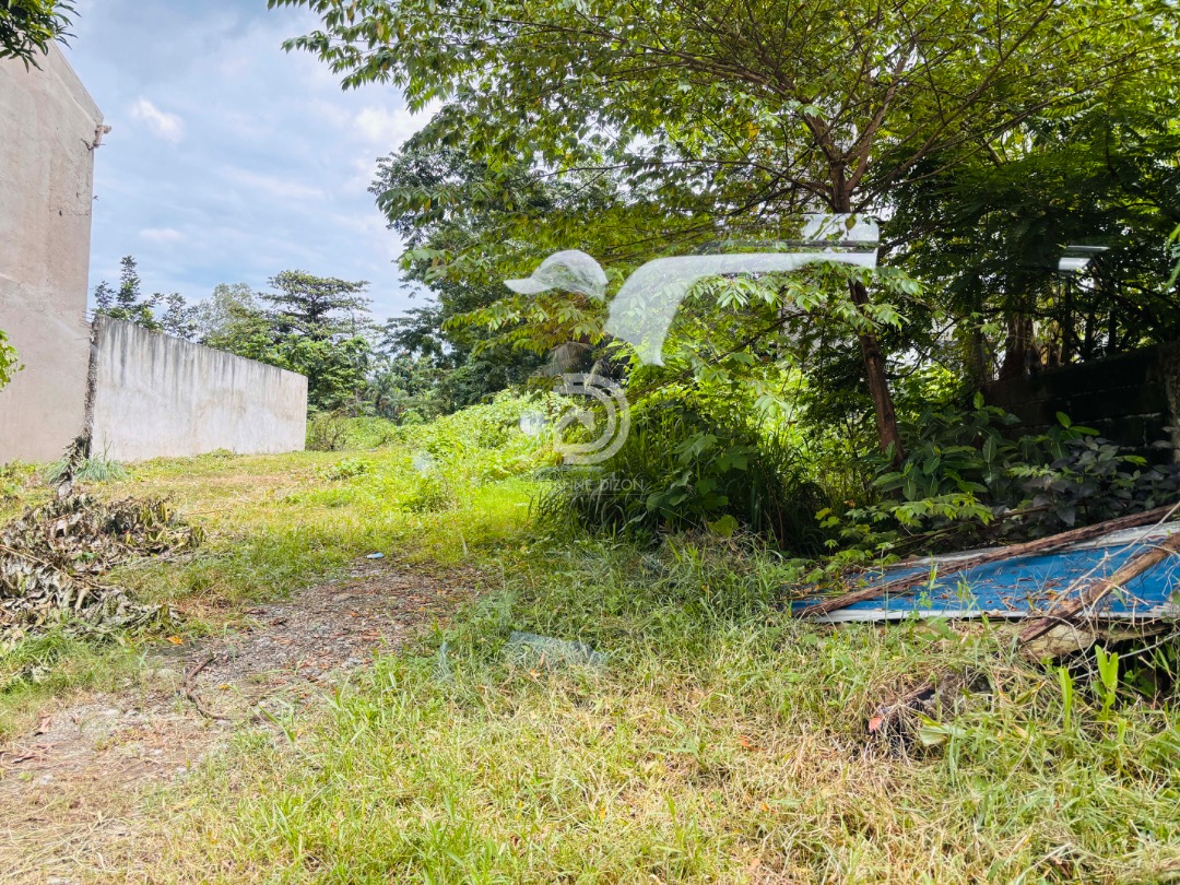 (Category: ) located in . Submitted by habitto (Listing ID 1392204455, Image 1). Description: .
