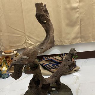 (Category: ) located in . Submitted by usedcondition (Listing ID 1392120278, Image 1). Description: .