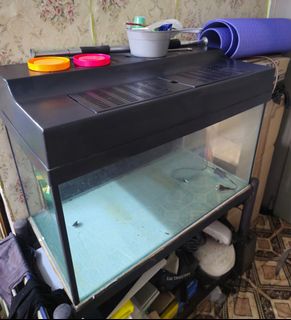 (Category: ) located in . Submitted by annabelle_ (Listing ID 1392410920, Image 1). Description: .