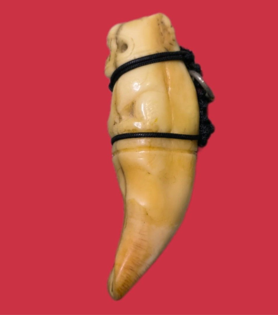 Black string (Category: Religious Items) located in Singapore. Submitted by kruengrangamulet (Listing ID 1392337933, Image 3). Description: Lp pern Wat bangpra.